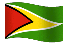 source: http://upload.wikimedia.org/wikipedia/commons/5/58/Animated-Flag-Guyana.gif